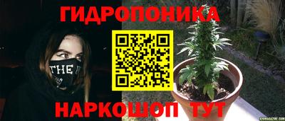 дживик Ликино-Дулёво